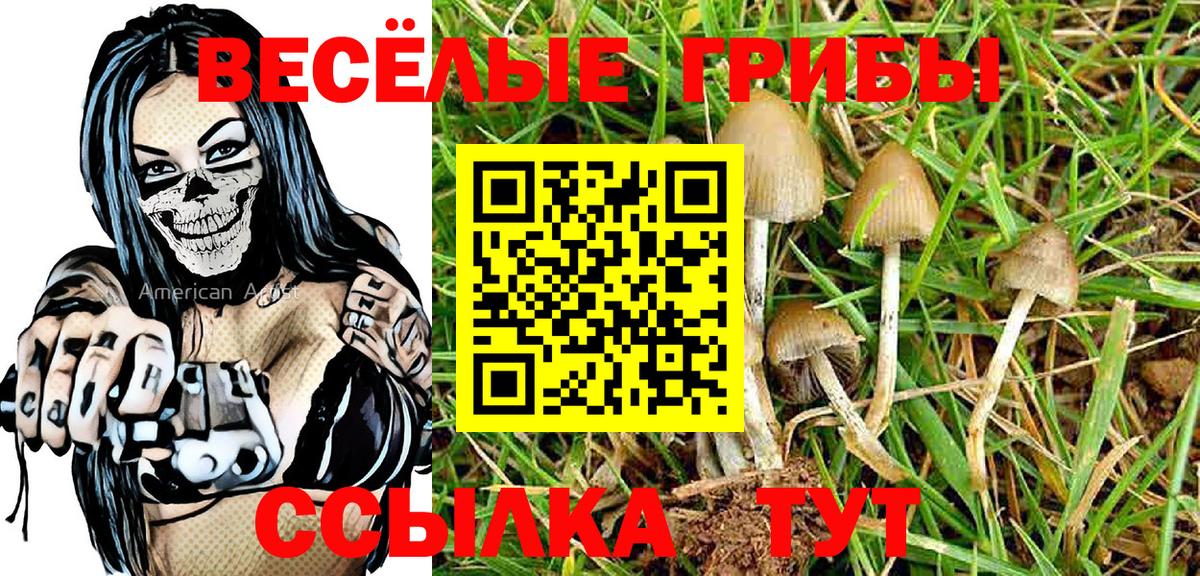 Галлюциногенные грибы прущие грибы Ирбит