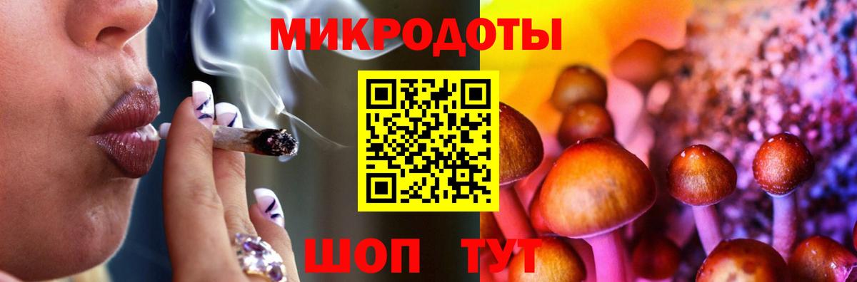 Ирбит  наркотики  Вход с VPN  Галлюциногенные грибы Cubensis 